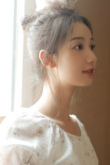 屋顶上的大象